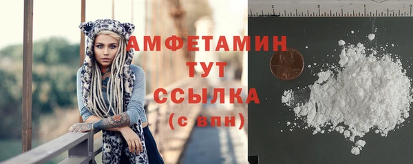 прущие крисы Бородино