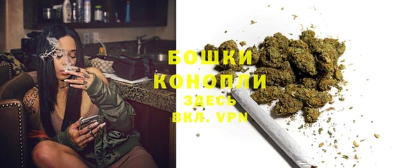 спиды Бронницы