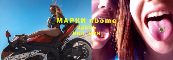 прущие крисы Бородино