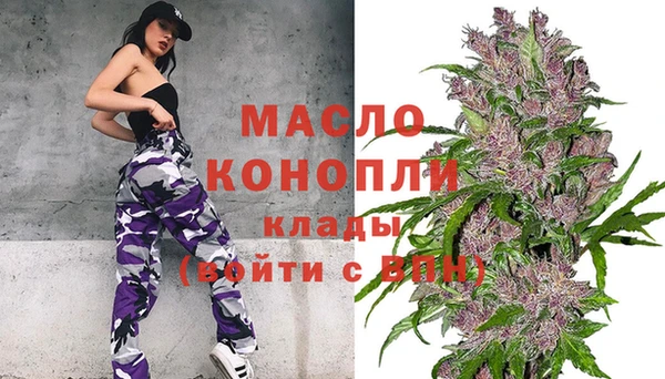 прущие крисы Бородино