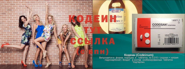 прущие крисы Бородино