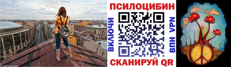 Псилоцибиновые грибы мухоморы  даркнет сайт  Чита 