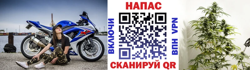 Каннабис планчик  KRAKEN сайт  Чита  как найти закладки 